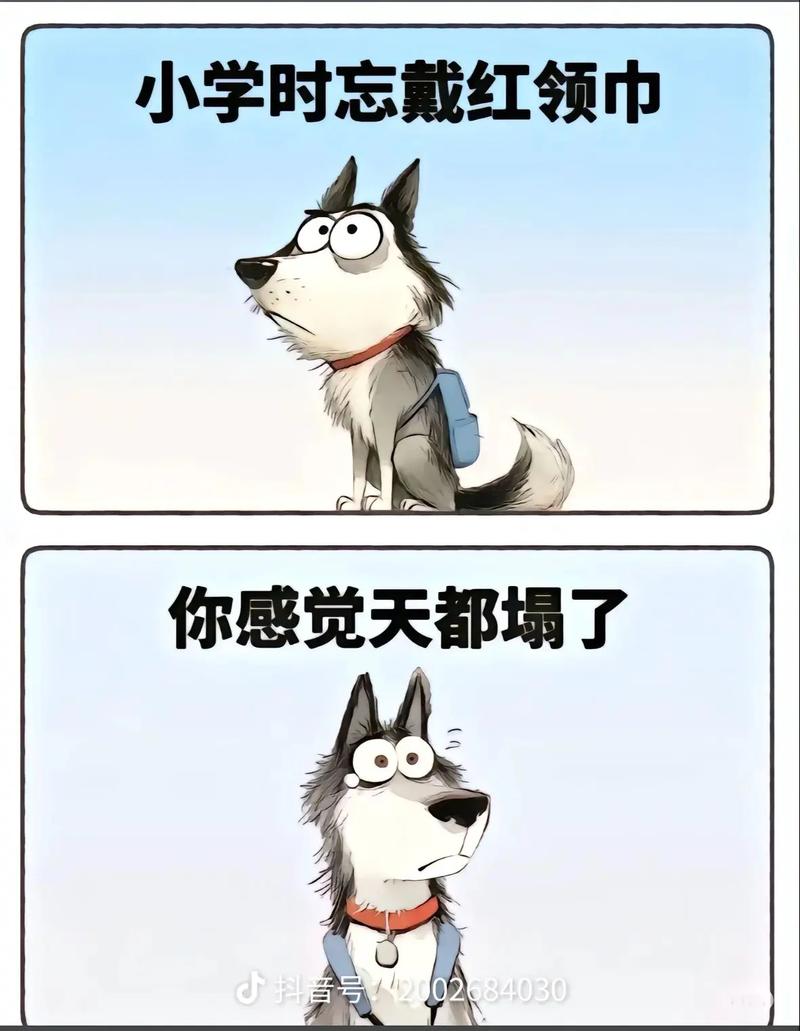 ⚡ 入住前的灵魂拷问