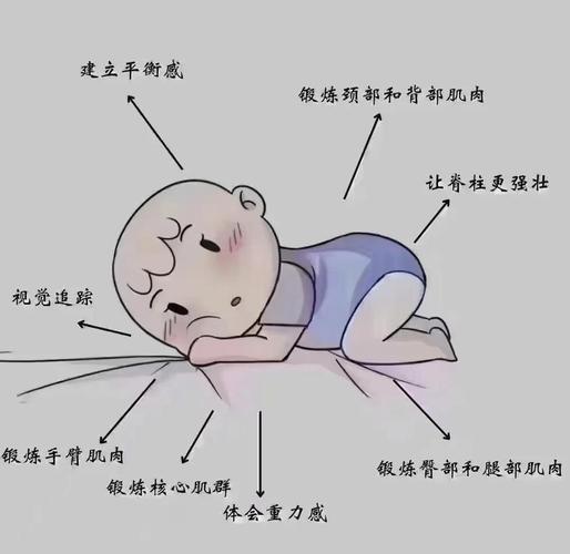 婴儿趴卧抬头练习姿势示意图