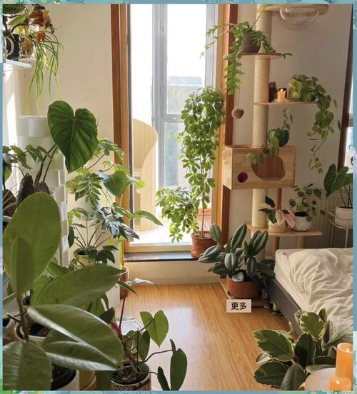 密闭卧室过量摆放绿植场景图