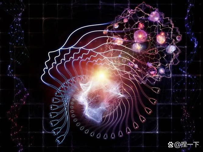 火的哲学,就是失控的宇宙里一点点可控的幻觉