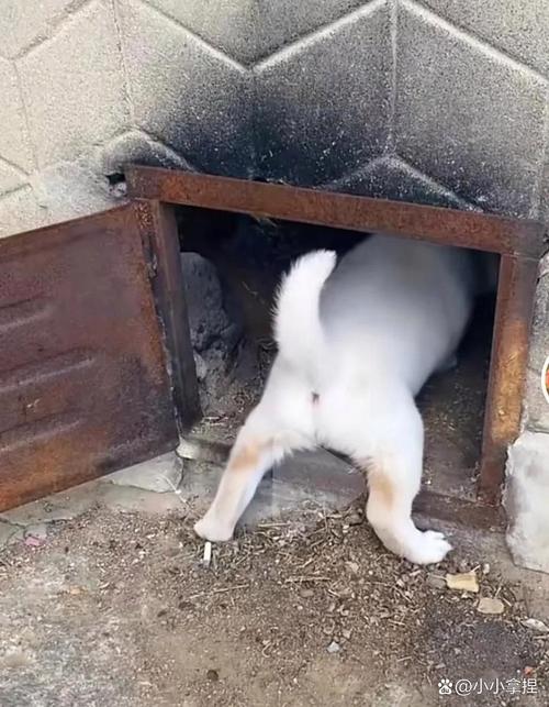 它已经悄悄钻进日常了，你没发现而已