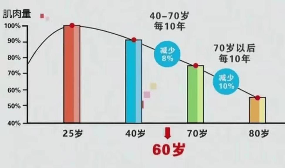 不同年龄老年人肌肉量对比示意图