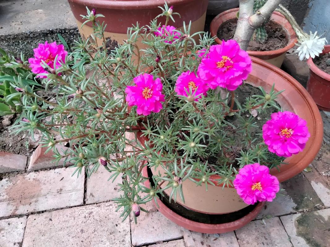 自己在家就能查，花不了两分钟