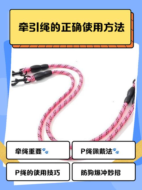 那些没人特意说的牵引绳使用边界