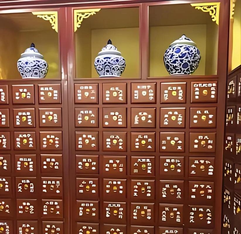 家用干货避光柜体存放药品实景图