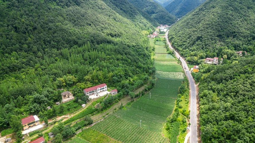 南漳薛坪镇石桥冲村白马洞盘山公路旁的荆山梯田秋收前景象