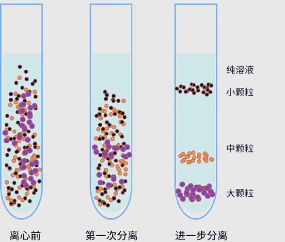 你身边藏着的离心分离