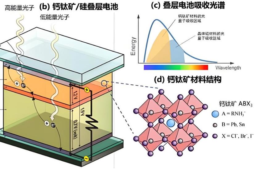斯坦福高效钙钛矿太阳能电池微观结构