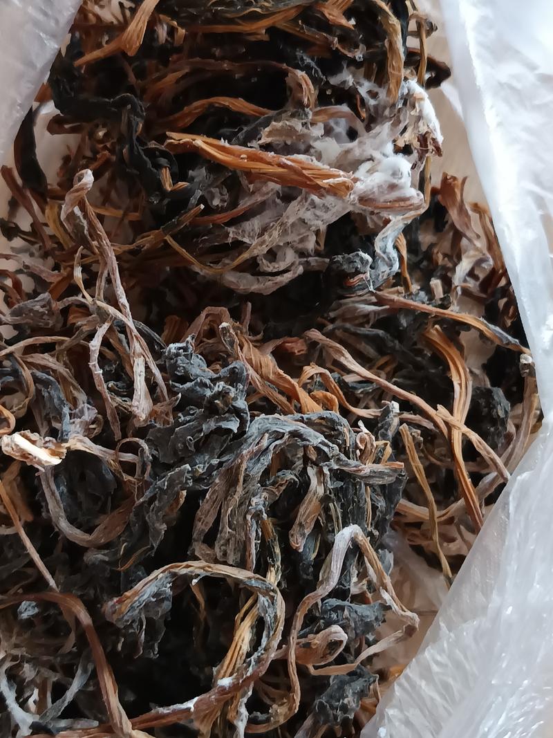 梅雨季节长绿霉的干货实拍