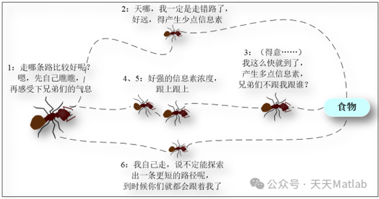 蚁群算法蚂蚁觅食路径选择示意图