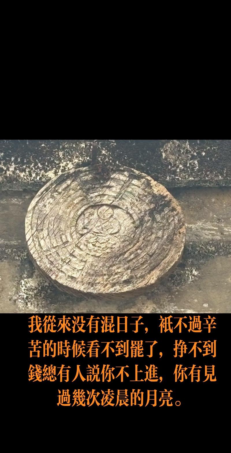 日常到底咋样?真不是混日子