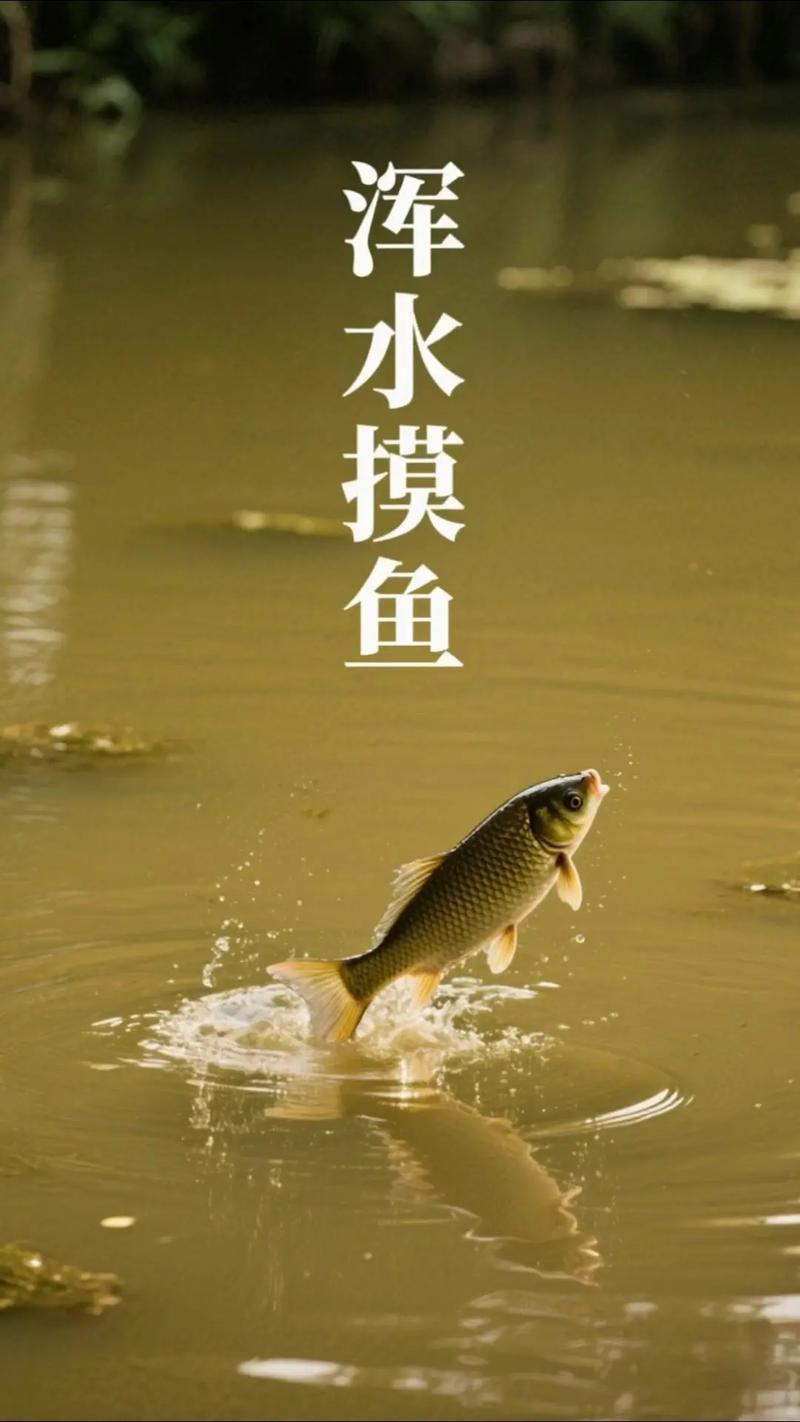 三、市场格局:谁在浑水摸鱼,谁在真正做技术?