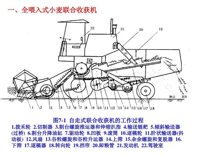 联合收割机割台切割与拨禾结构示意图