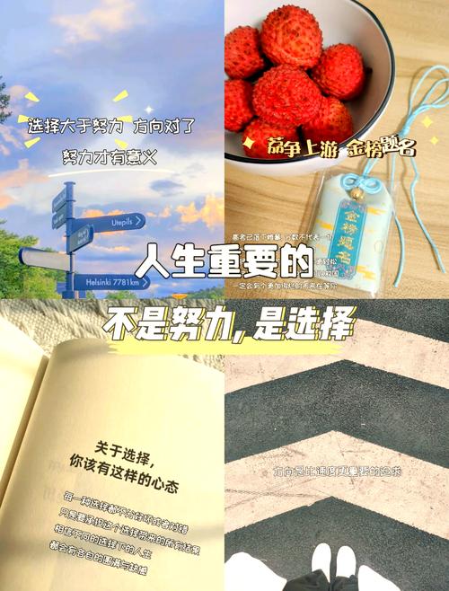 择校别瞎冲，选对了比努力重要十倍