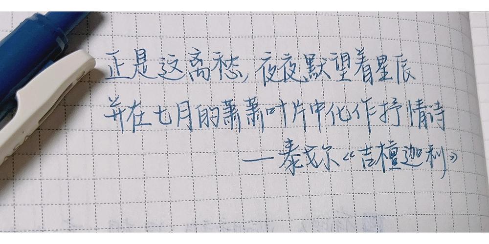 别被花里胡哨的功能迷了眼