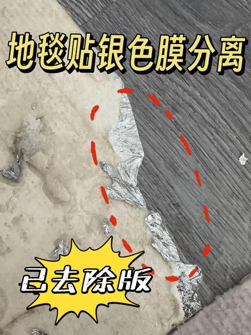 家用环保地毯背胶检测小样图