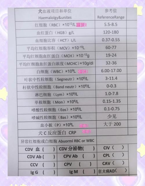 宠物医院接诊台奶狗血常规检测样本