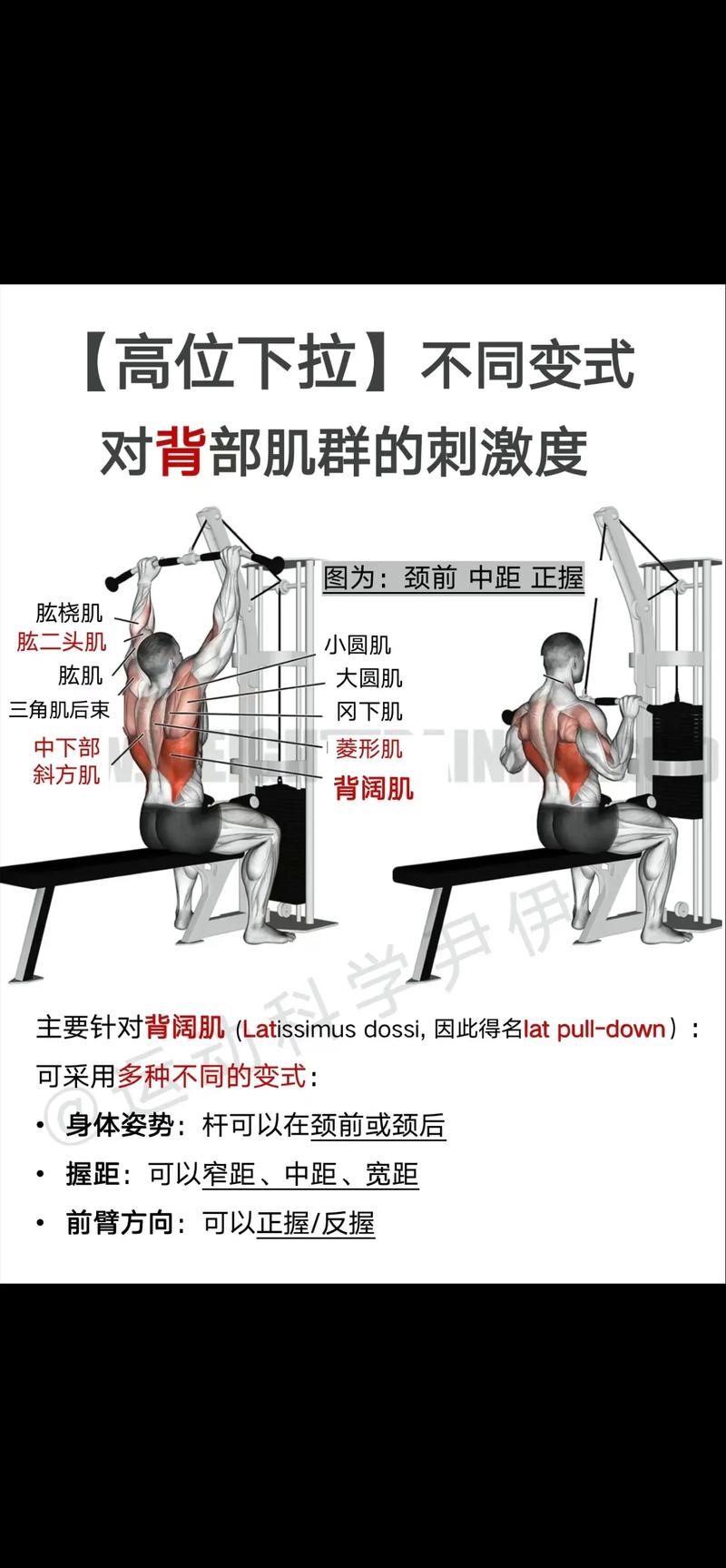 健身房高位下拉背阔肌发力细节图