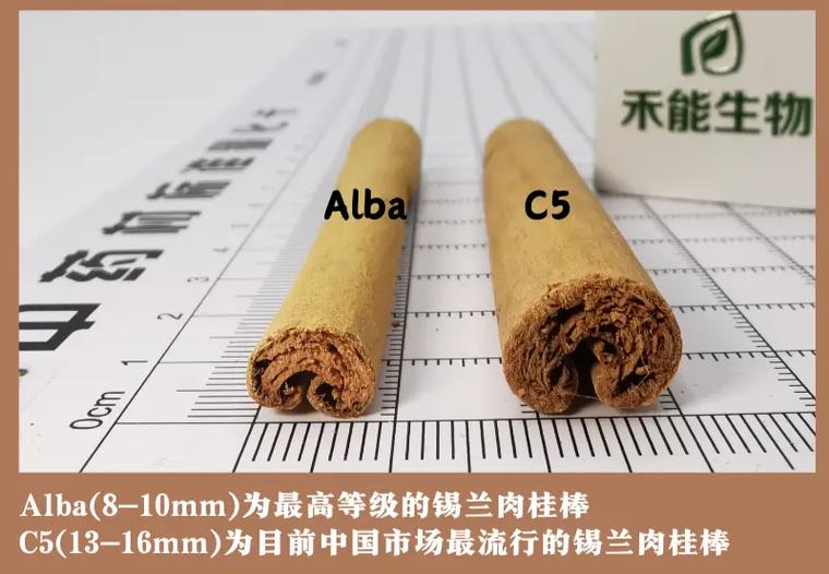 别急着炖肉，先看看你手里的肉桂是不是“西贝货”-因为所以
