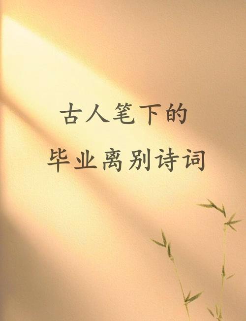 毕业去向:除了带兵,还有诗和远方