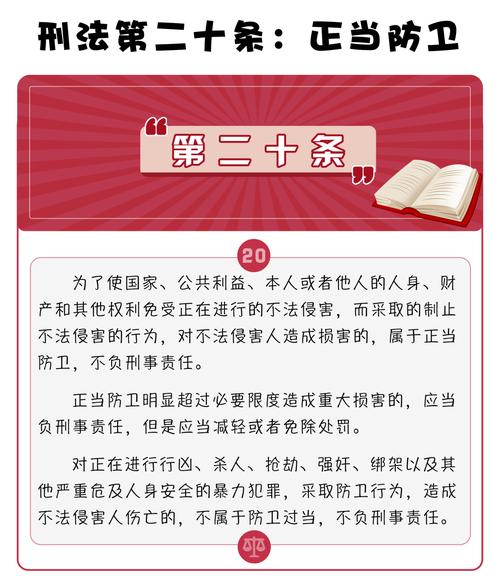 中华人民共和国刑法第二十条原文标注图