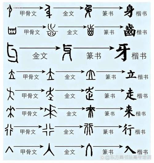 4️⃣ 万一被拒？留个“钩子”优雅转身
