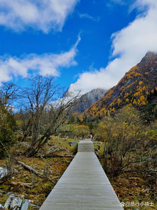 四姑娘山木栈道游客背靠雪山拍照