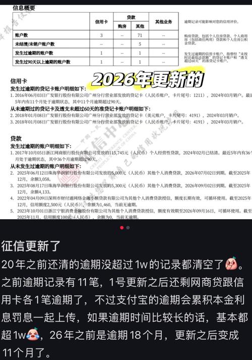 个人征信报告逾期记录页面
