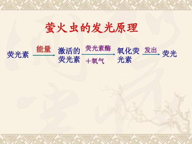 萤火虫，你真以为它只是夏夜的浪漫？-因为所以