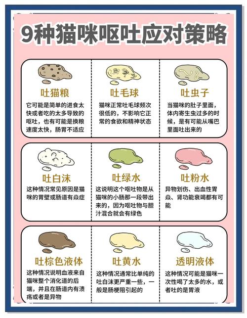 猫吐了，第一步你该做什么