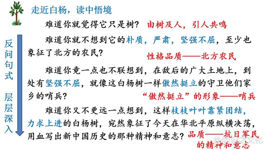新课标的当下，怎么教怎么学《白杨礼赞》象征