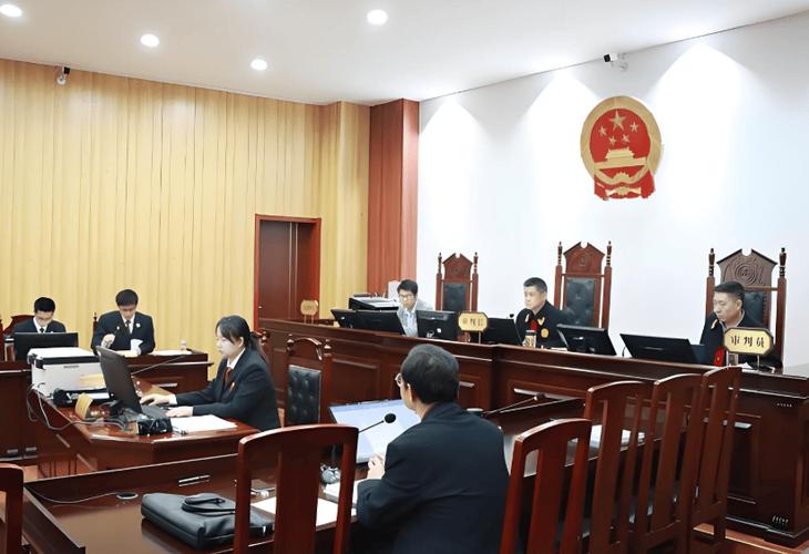 刑事庭审被告人当庭自行辩护手势实拍图