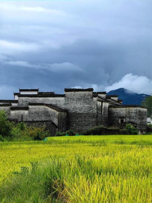 湖北南漳麻城河村秋收稻田古石屋