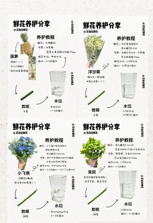 养护与翻新：别让花艺成鸡肋
