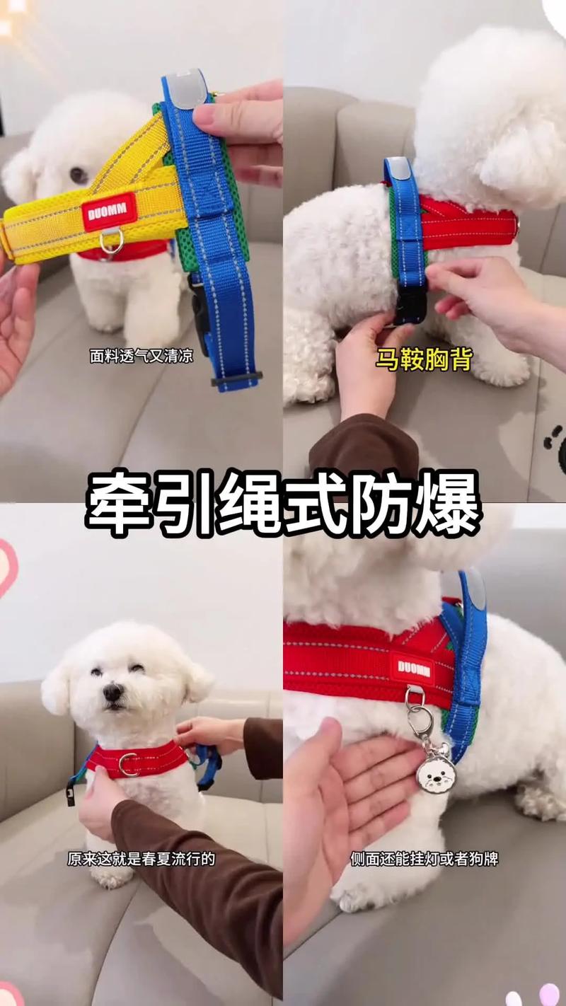 前扣式狗狗防爆冲胸背带穿戴示意图