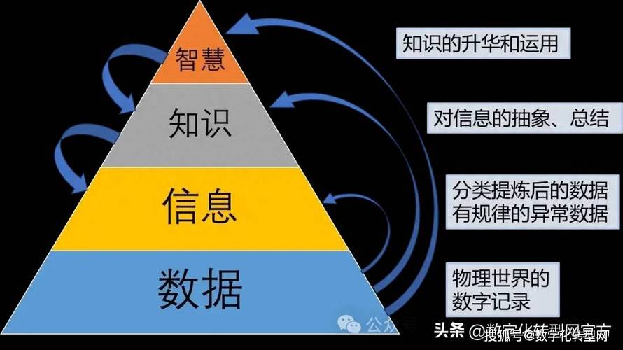 数据透明:信任的数字化基石