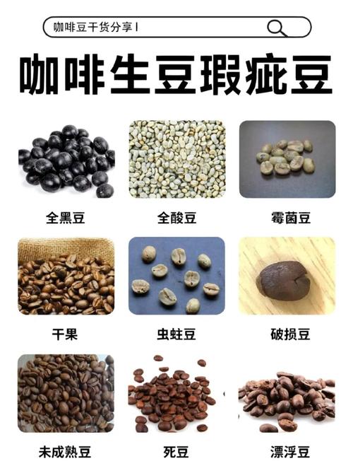 开封新鲜咖啡豆与氧化变质咖啡豆对比图
