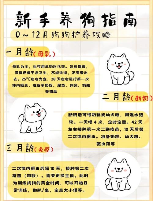 3-14周龄幼犬社会化关键期时间轴标注图