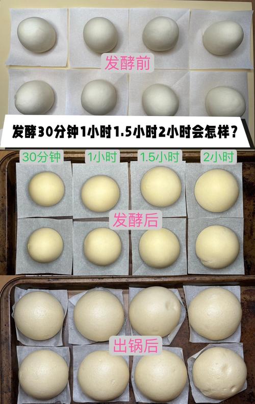面包发酵过度导致塌陷对比图