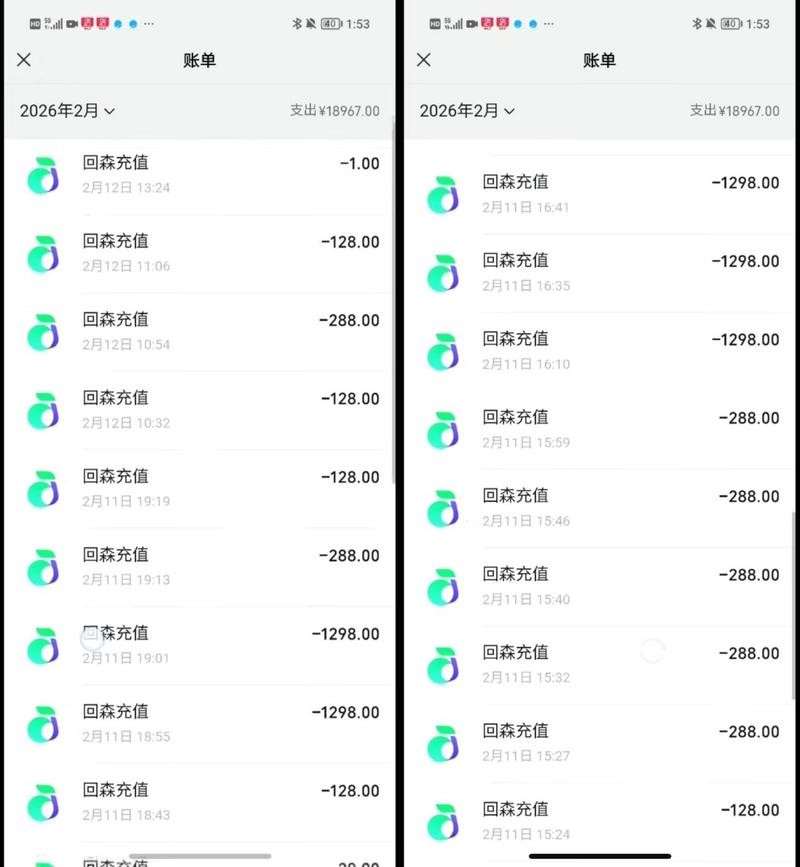 家长保存的未成年人网络充值支付账单截图
