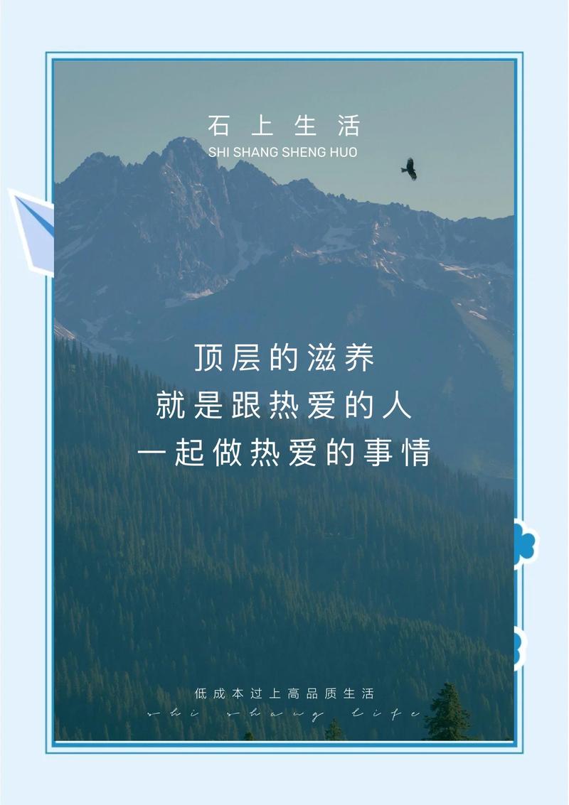 最后的归宿：一束干枯也有用
