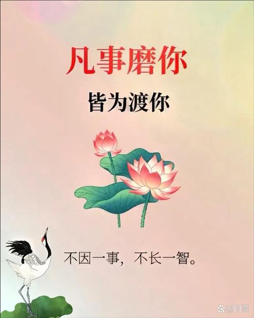 这点磨人的小事,其实藏着最稳的生活感