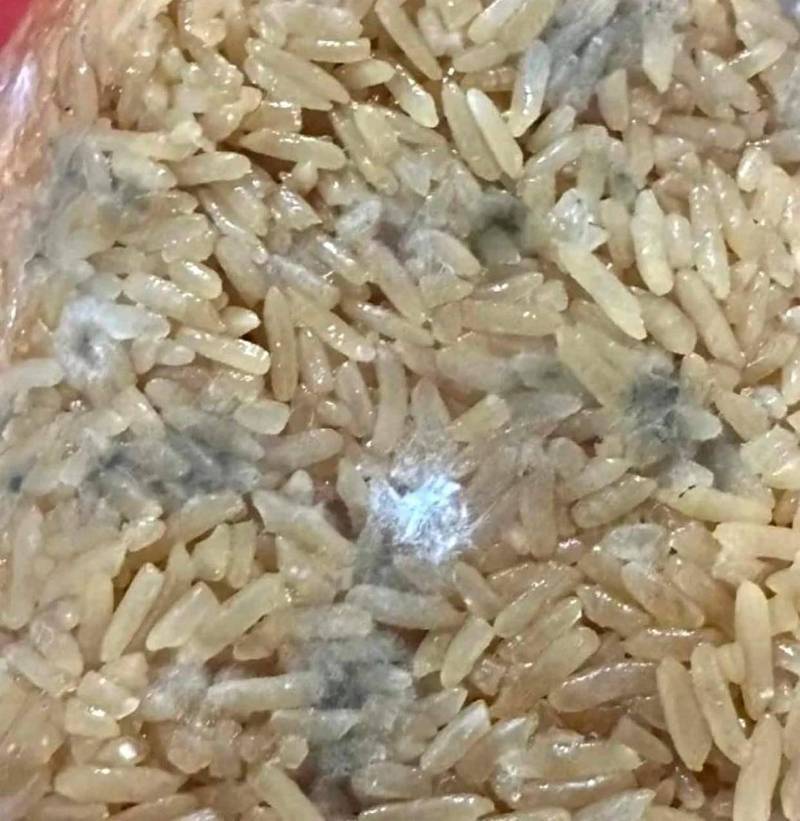 厨房受潮霉变的杂粮谷物实拍图