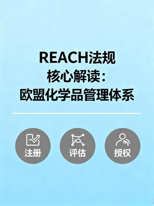 欧盟REACH法规化学品注册评估流程示意图
