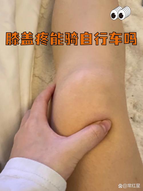 新手适合什么骑行路线?我把自己摔过的坑全告诉你-我问答网
