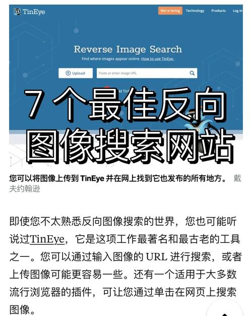 浏览器图片反向检索操作界面