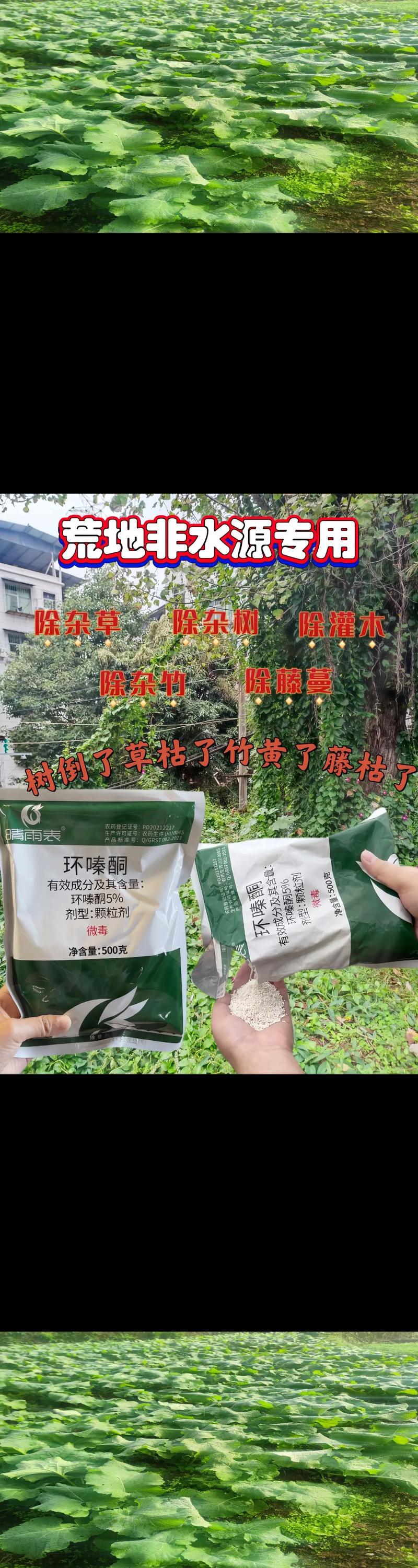 环境控制悄悄帮我省了医药费🌿