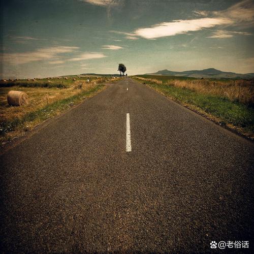 负排放技术研究，得走咱们自己的路
