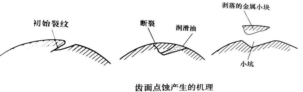 工业齿轮齿面点蚀失效解剖图