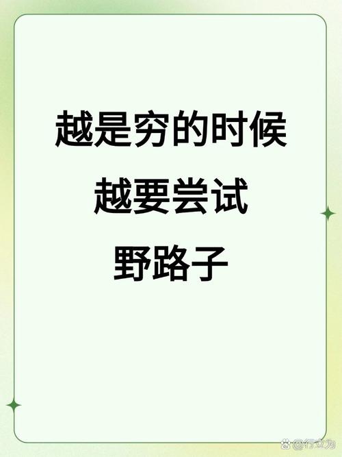 我的野路子建议